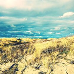 Scenic view of beach against sky