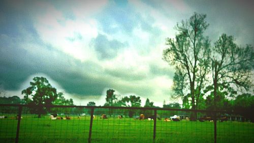 Scenic view of grassy field against cloudy sky