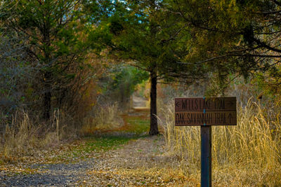 Information sign on road amidst trees in forest