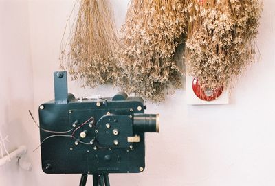 Old camera with dry flowers