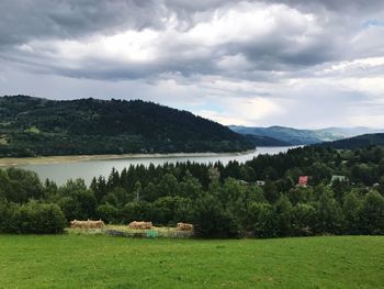 Scenic view of field by lake against sky