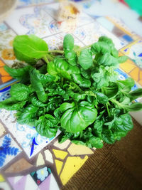 High angle view of vegetables in plate on table