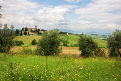 Scenic view of field against sky