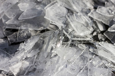 Full frame shot of wood