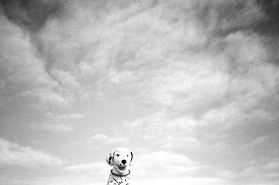 Portrait of dog with ball against sky