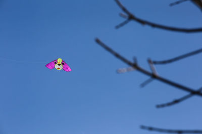 Low angle view of pink umbrella against blue sky
