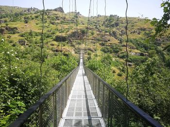 Footbridge amidst trees in forest