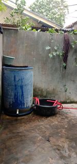 Potted plant on table in yard of house