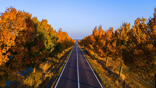 Scenic view of trees against clear sky during autumn