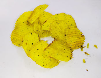 High angle view of yellow leaf on white background