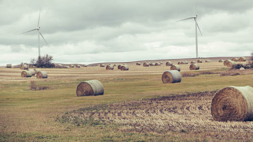 Hay bales on field against sky