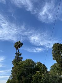 Low angle view of tree against sky