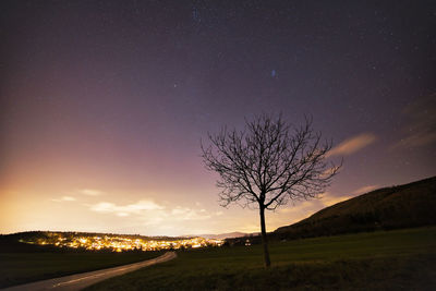 Silhouette trees against sky at night