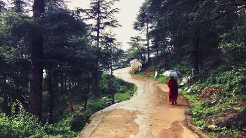 Rear view of people walking on road amidst trees