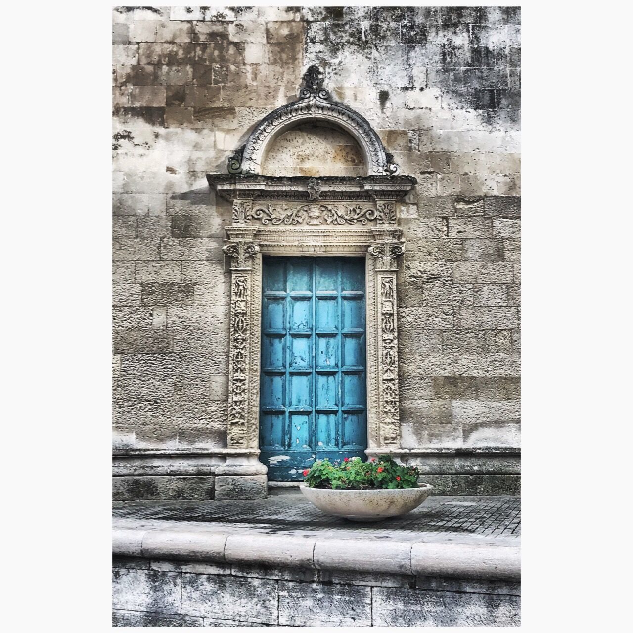 POTTED PLANTS AGAINST WALL OF BUILDING