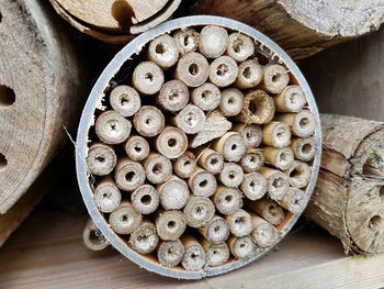 High angle view of mushrooms on wooden table