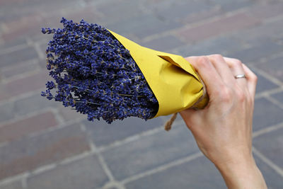 Cropped image of woman holding dry lavender flowers