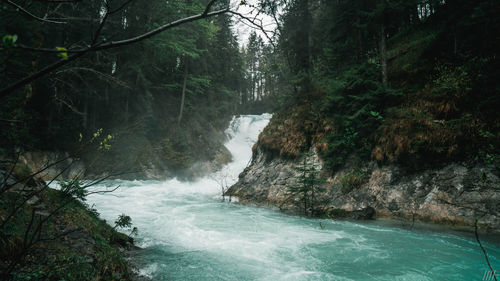 Scenic view of waterfall in forest