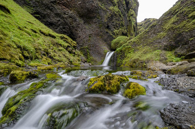 Scenic view of waterfall in forest