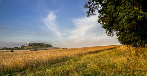 Scenic view of agricultural field against sky