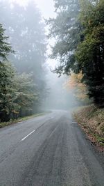 Empty road along trees