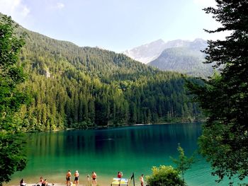 Scenic view of lake and trees in forest