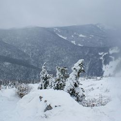 Snow covered landscape