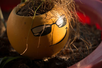 Close-up of smiley face pot on dirt