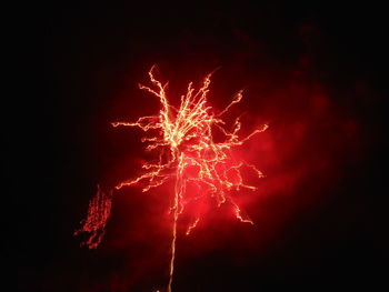 Low angle view of firework display at night