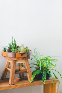 Potted plant on table against wall