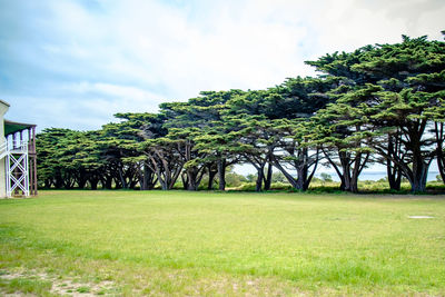 Scenic view of grassy field against cloudy sky