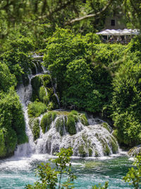 Scenic view of waterfall in forest