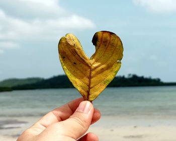 Cropped hand of person holding leaf against sea