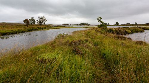 Scenic view of lake against sky