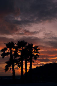 Silhouette palm trees against sky during sunset