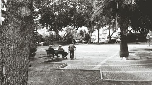 People on bench by trees against sky