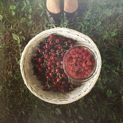 Close-up of red chili peppers