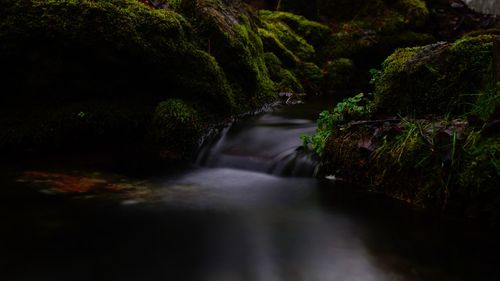 River flowing amidst rocks in forest