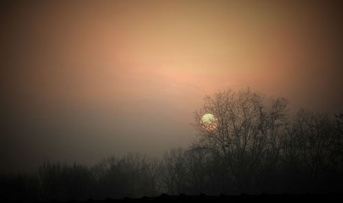 Silhouette trees against sky during sunset