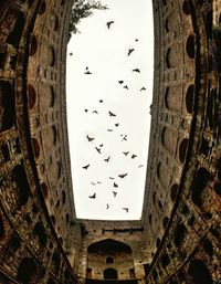 Directly below shot of birds flying over old ruin building against sky