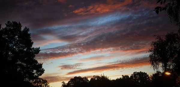 Low angle view of silhouette trees against dramatic sky