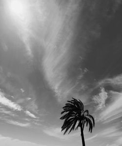 Low angle view of silhouette coconut palm tree against sky