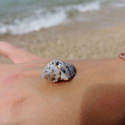 Close-up of hand holding crab on sand at beach