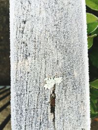 Close-up of object on white surface