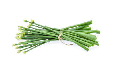 Close-up high angle view of vegetable tied over white background