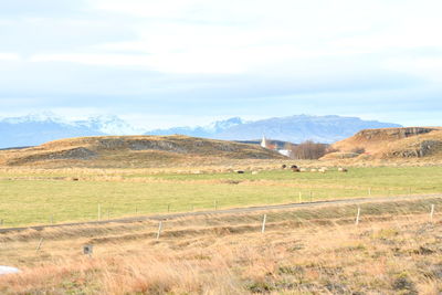 Scenic view of field against sky