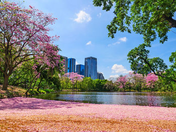 Scenic view of river by trees and buildings against sky