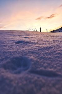 Surface level of snow covered field during sunset