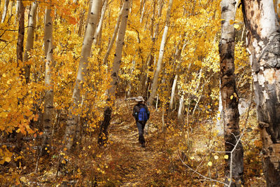 People amidst trees in forest during autumn