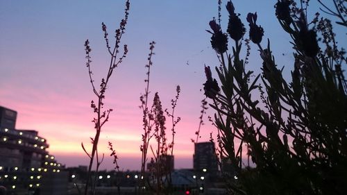 View of illuminated city at dusk